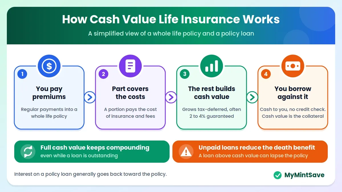 Diagram of premiums building cash value in a whole life policy that can be borrowed against.